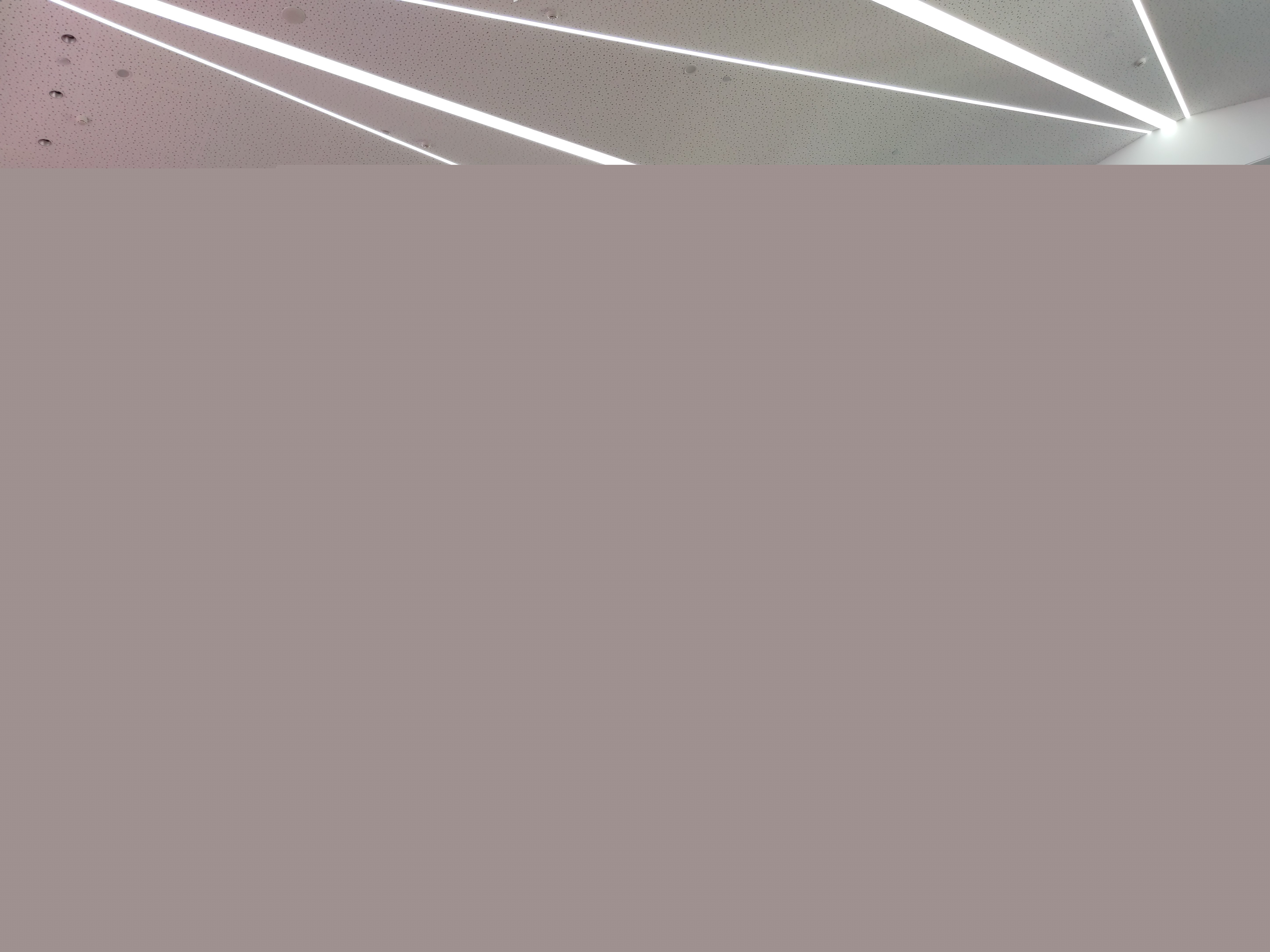 1613785569595987.jpg 1613785569595987.jpg