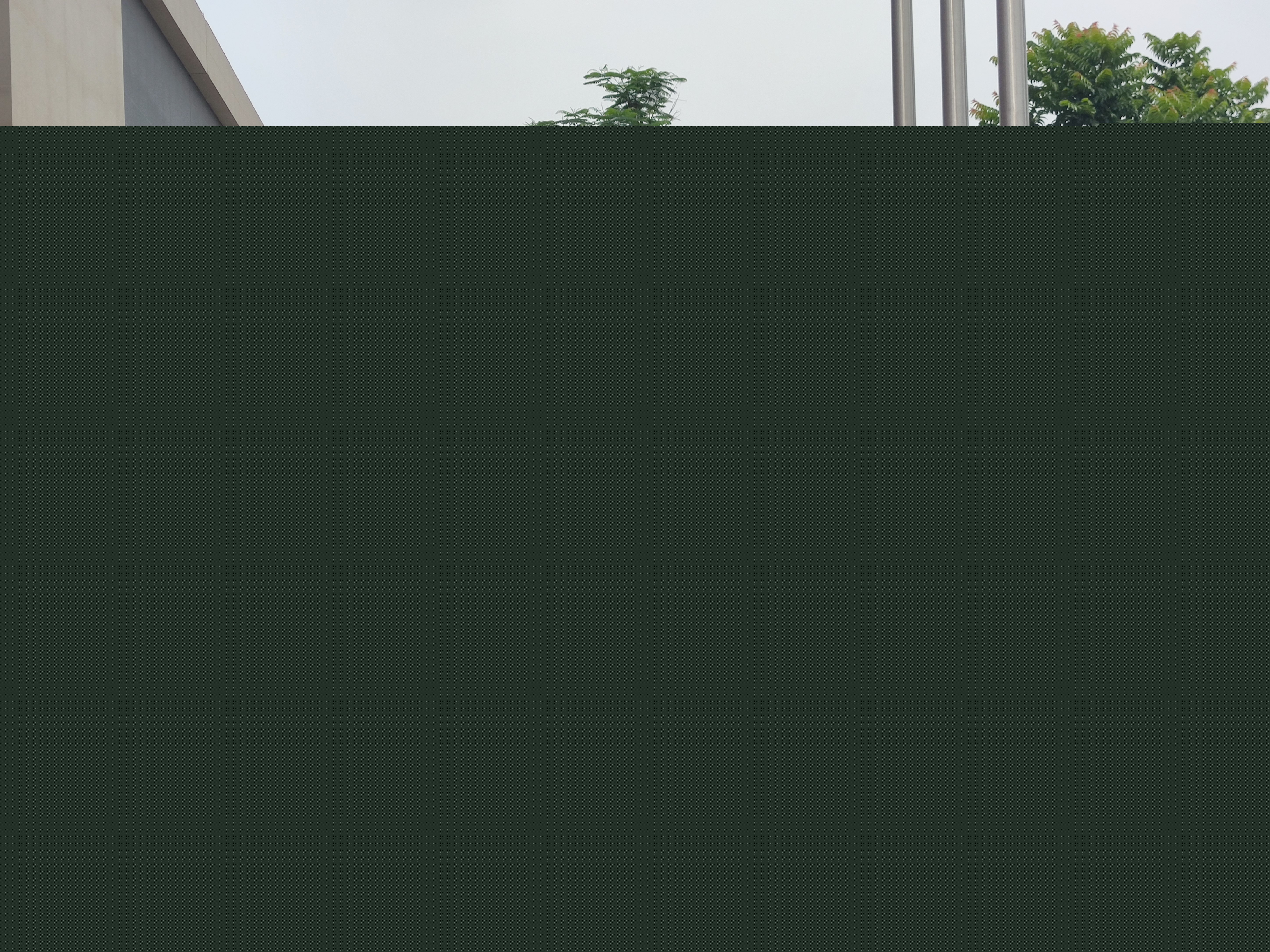 1623058338212716.jpg 1623058338212716.jpg