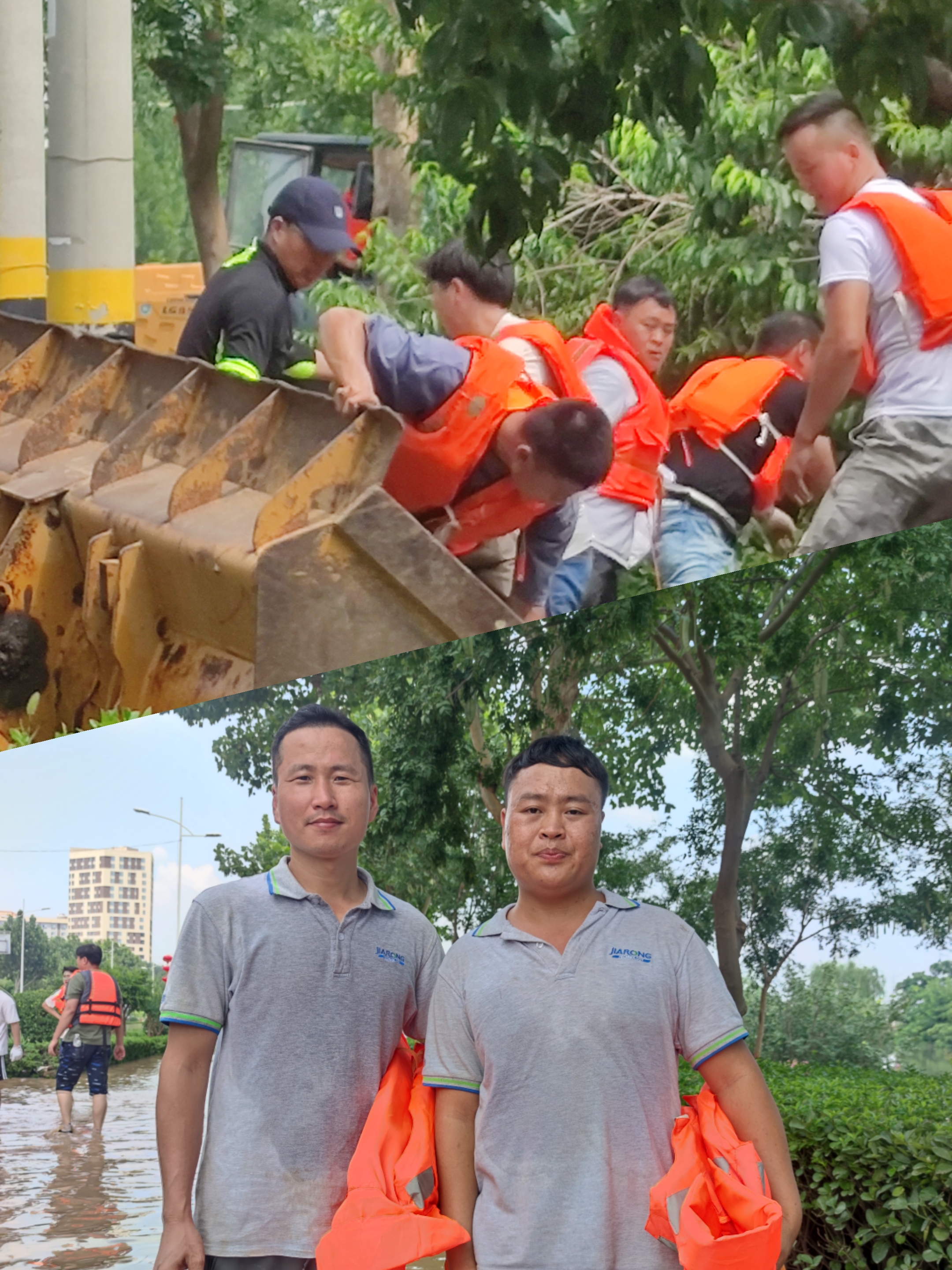 1627276877586307.jpg 1627276877586307.jpg